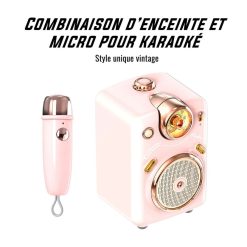 RESET CLUB Accessoires High-Tech (Ordis, Tablettes, Smartphones....) | Enceinte Fairy-Ok