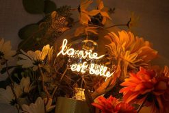 ELEMENTS LIGHTING Ampoules Message | Ampoule La Vie Est Belle / H 17 Cm