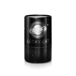 DONKEY PRODUCTS Vases / Petits Objects D Co | Lucky Cat Cosmic - Silver Dition Limit E Mercure