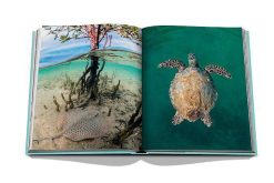 ASSOULINE Vases / Petits Objects D Co | Livre Assouline Red Sea: The Saudi Coast