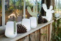 FERMOB Luminaires | Fermob Set De 3 Mini Lampes Rechargeables - Cactus