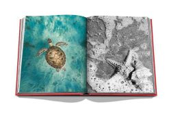 ASSOULINE Livres D Co | Livre Assouline St Barths Freedom