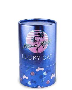 DONKEY PRODUCTS Vases / Petits Objects D Co | Lucky Cat Glossy Pink - Diversity