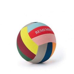 REMEMBER Jeux & Fun | Ballon De Volley-Ball